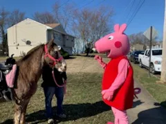 A pony alongside a pink pig mascot outdoors
