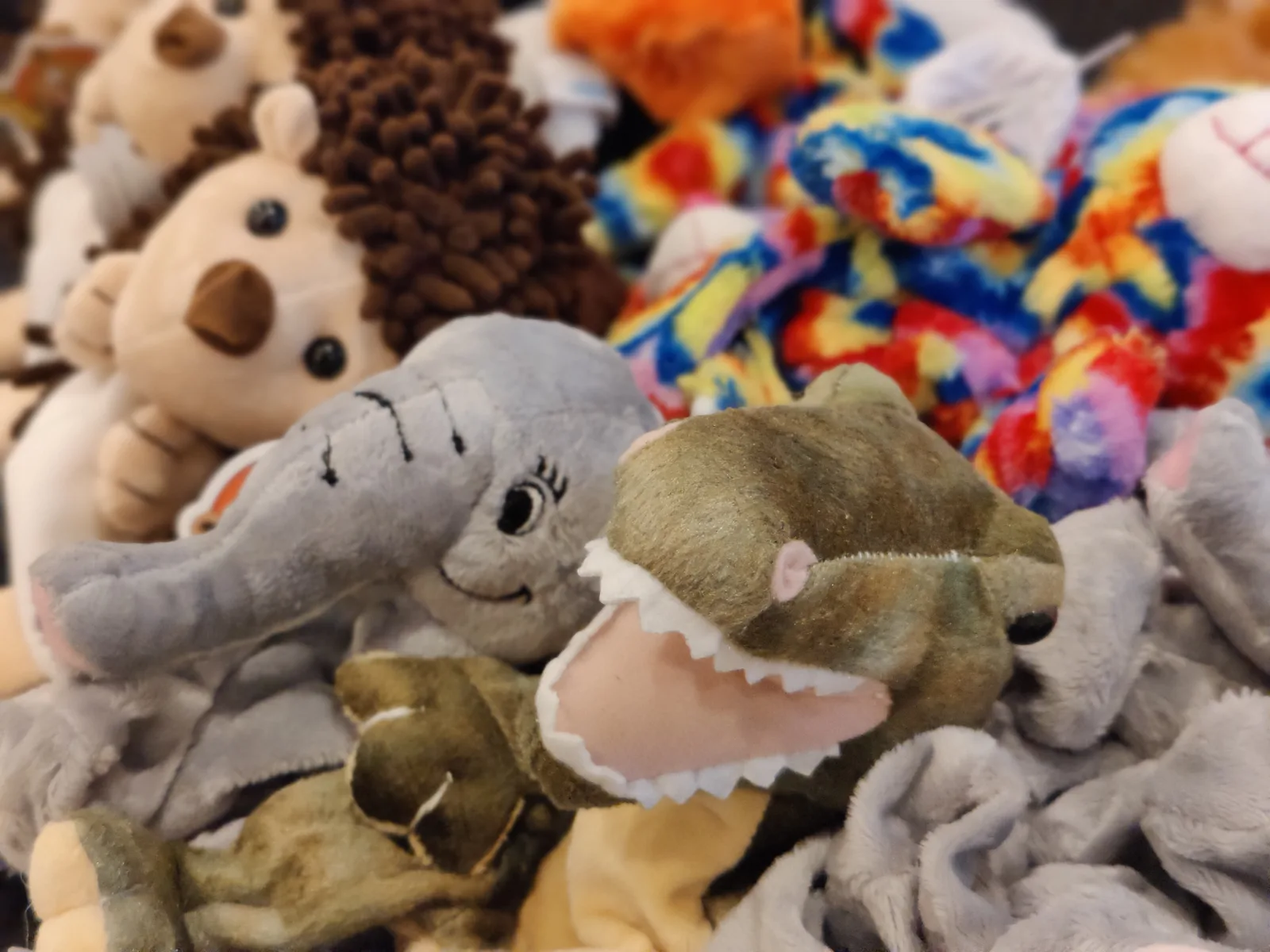 Elephant and dinosaur plush toys beside hedgehog and rainbow animals